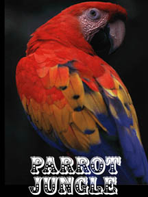 Parrot Jungle